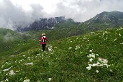 58 Scendendo alla Bocchetta di Golla vista in Cime Foppazzi e Grem